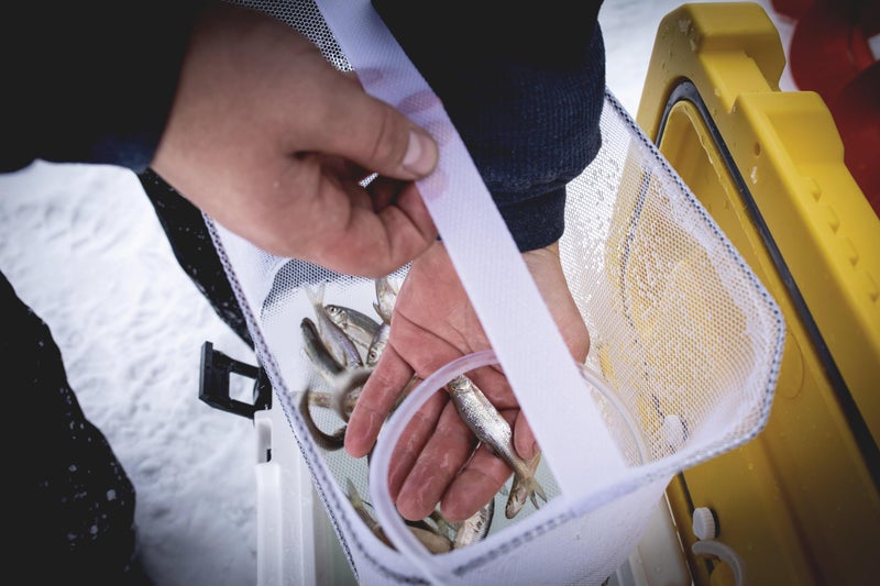 Frabill Magnum Bait Station 13 Quart Live Bait Well, White and Yellow - Image 3